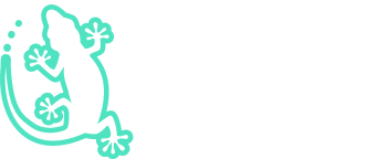 /rainlab/company - 会社概要